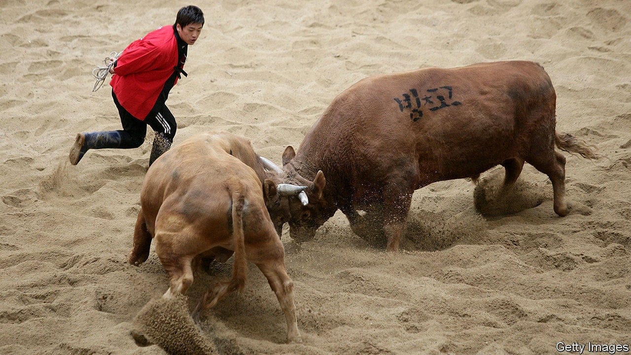 Toros corea del sur